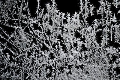Lines and Lines of Frost