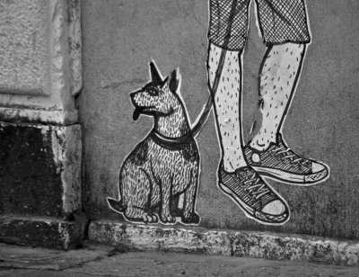 Dog and Shoes!