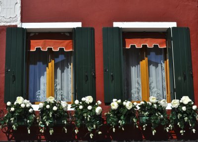 Cheerful Burano Windows
