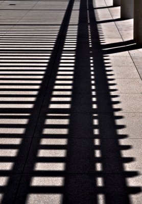 Fence Shadow Lines