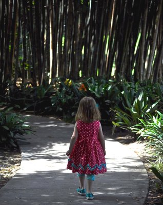 Into The Forest The Little One Goes