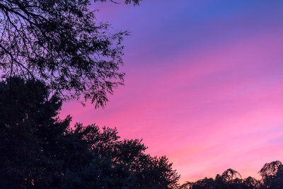 Pretty In Pink Sunset