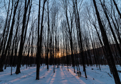Berkshire Winter Sunset