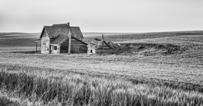 Private Homestead