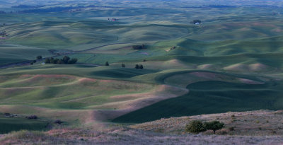 Steptoe Butte before sunrise