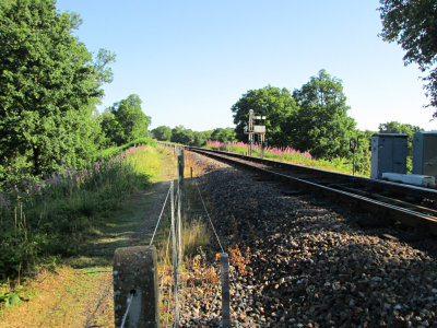 Bluebell Railway - Summer 2013