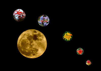 AlternativeSolarSystem 01.jpg