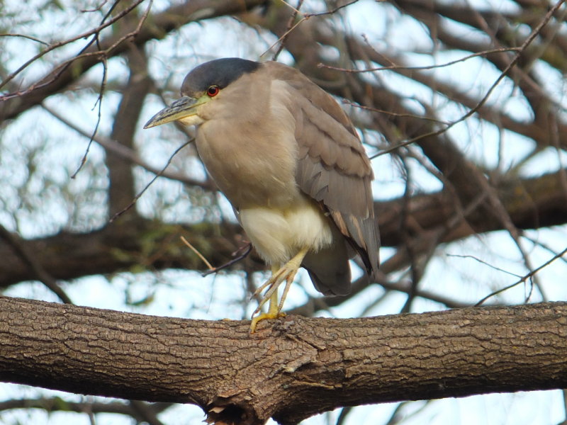 DSCF4491.JPG