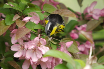 IMGP4769.JPG