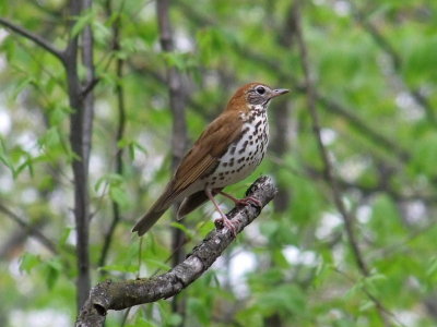 DSCF8028.JPG
