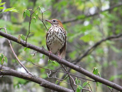 DSCF8037.JPG