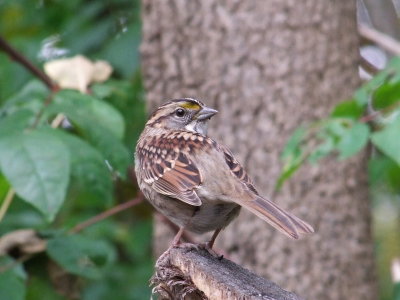 DSCF9097.JPG