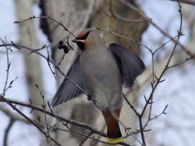 DSCF7008.JPG