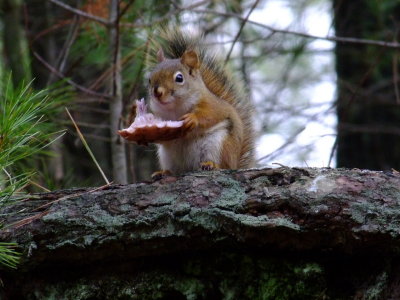 DSCF7072.JPG