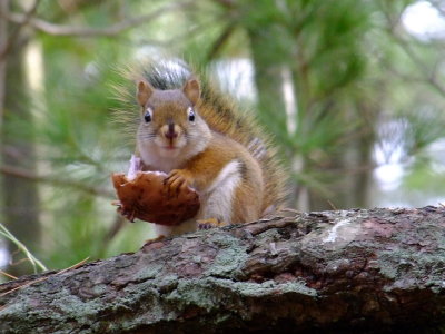 DSCF7078.JPG