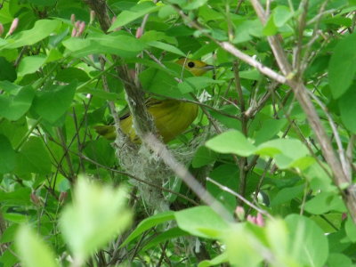DSCF0026.JPG