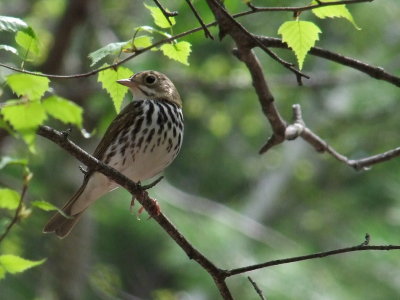 DSCF3039.JPG