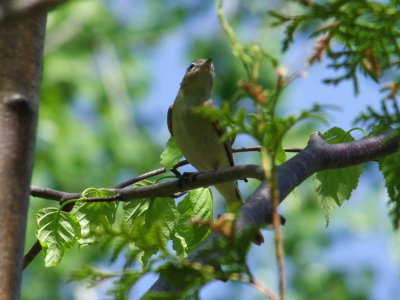DSCF9024.JPG