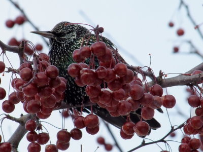 DSCF1082.JPG