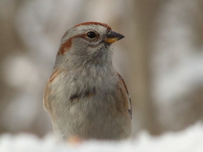 DSCF7027.JPG
