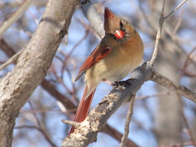 DSCF7033.JPG