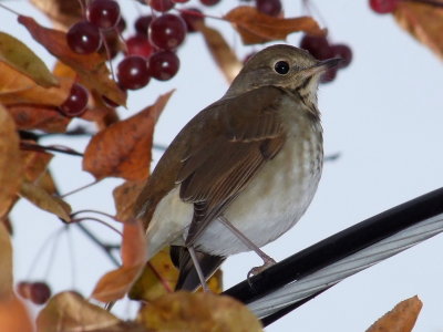 DSCF4056.JPG