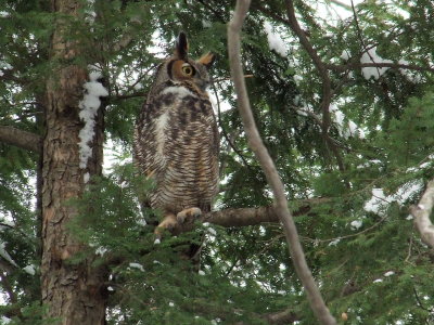 DSCF6039.JPG