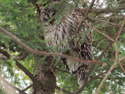 DSCF0034.JPG