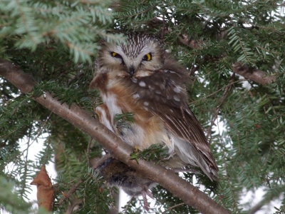 DSCF1021.JPG