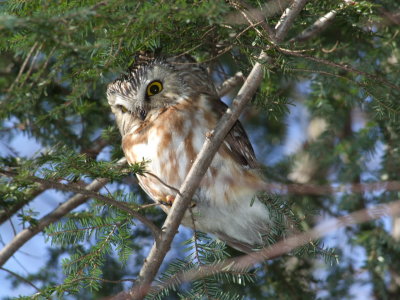 DSCF5009.JPG