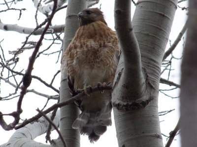 DSCF5032.JPG