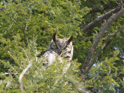 DSCF6025.JPG