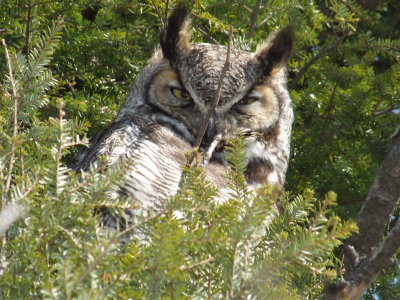 DSCF6026.JPG