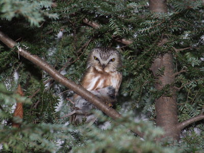DSCF7001.JPG