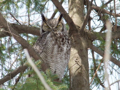 DSCF9024.JPG