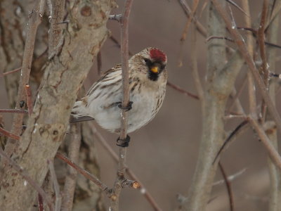 DSCF2443.JPG