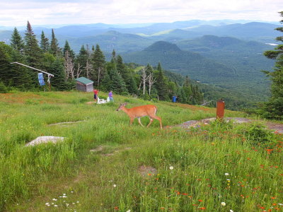 DSCF3176.JPG