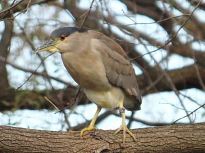 DSCF4489.JPG
