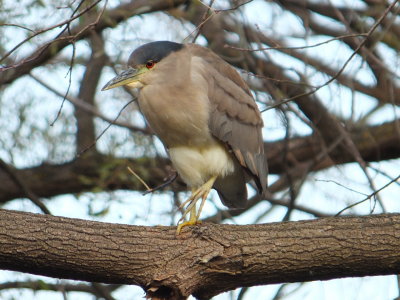 DSCF4491.JPG