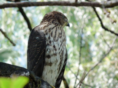 DSCF1343.JPG