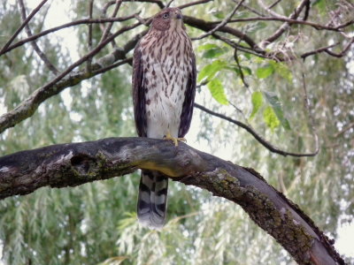DSCF1351.JPG