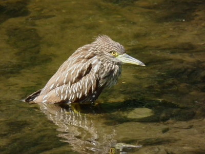 DSCF2919.JPG