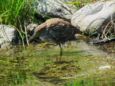 DSCF2927.JPG