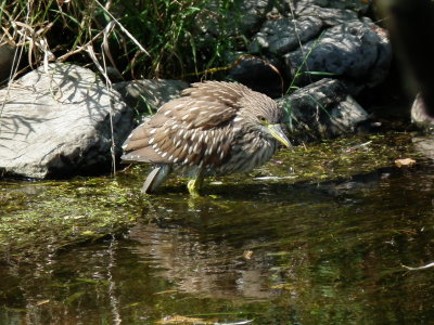 DSCF2933.JPG