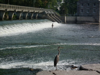 DSCF2968.JPG
