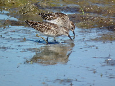 DSCF3315.JPG