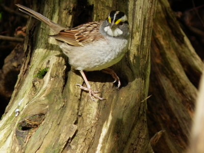 DSCF3778.JPG