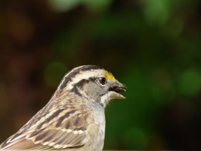 DSCF3787.JPG