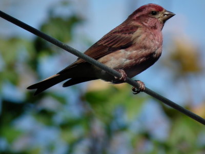 DSCF4044.JPG