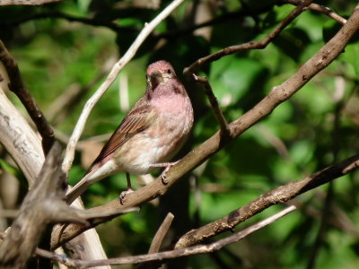 DSCF4047.JPG